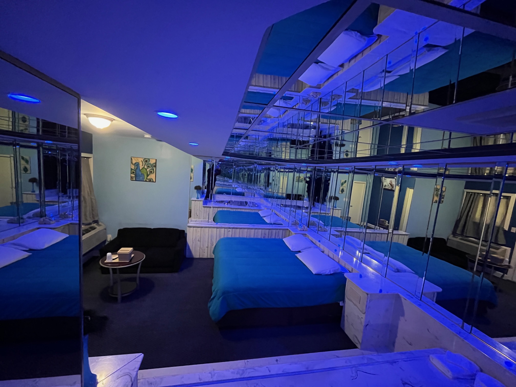Executive Neon Suite